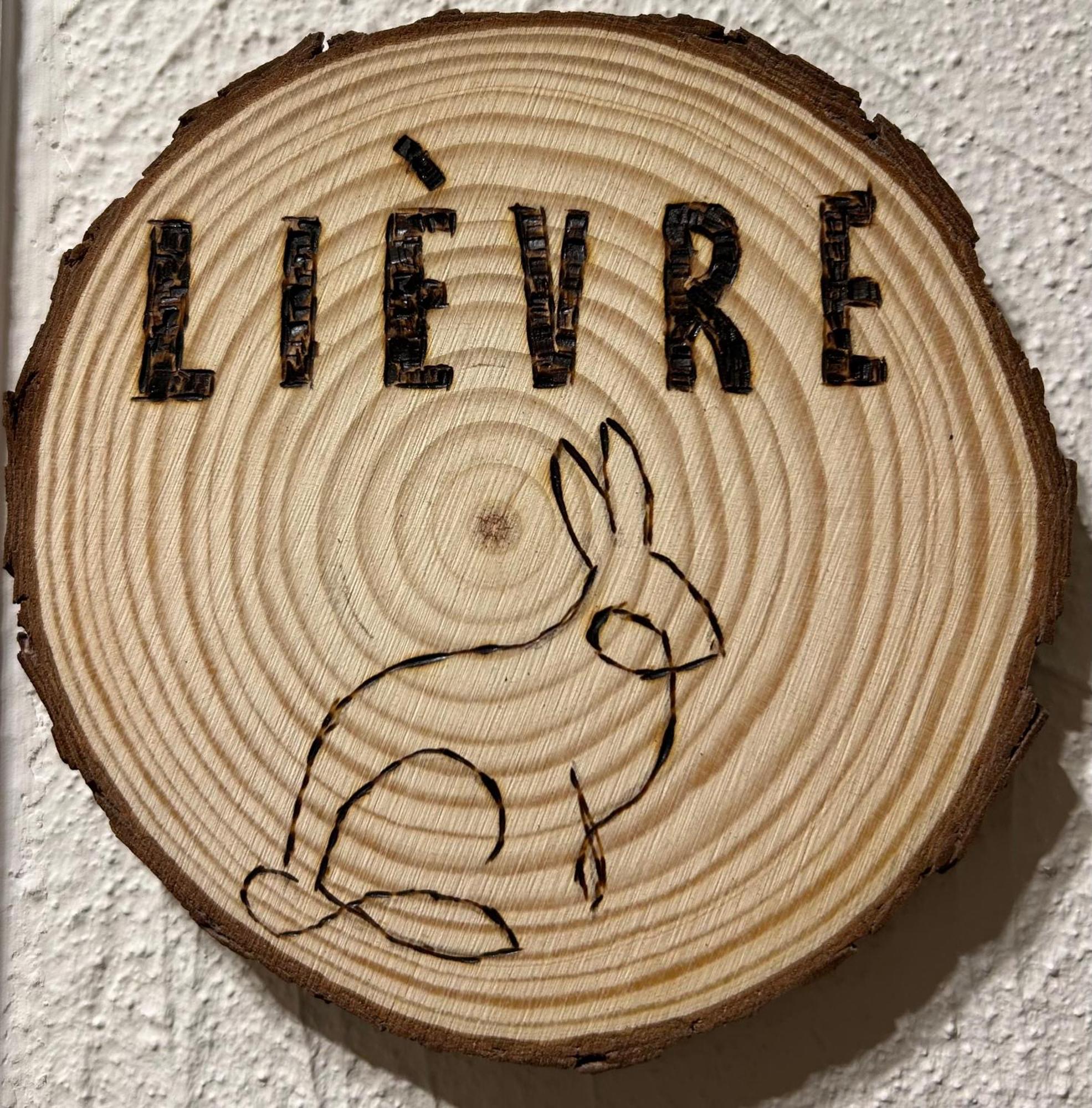 Cacele - La Croisette 5 Appartementen En 6 Tweepersoonskamers Vresse-sur-Semois Ruang foto